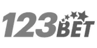 Visa partner logo
